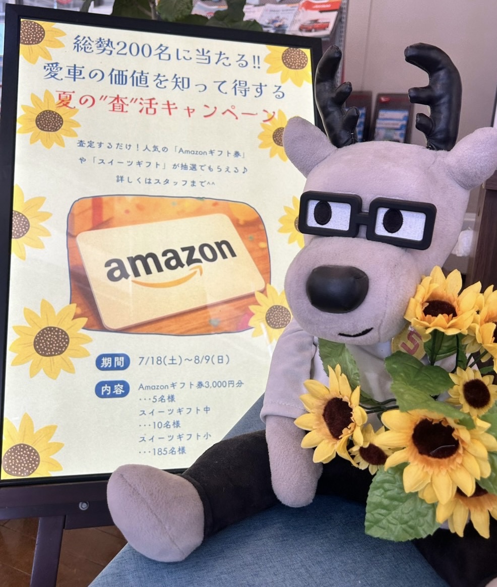 ☆ふじみ野店☆ ”査”活 してみませんか!?🌻